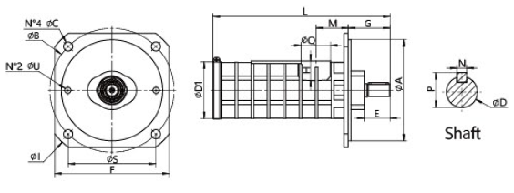 19mm screw pumps