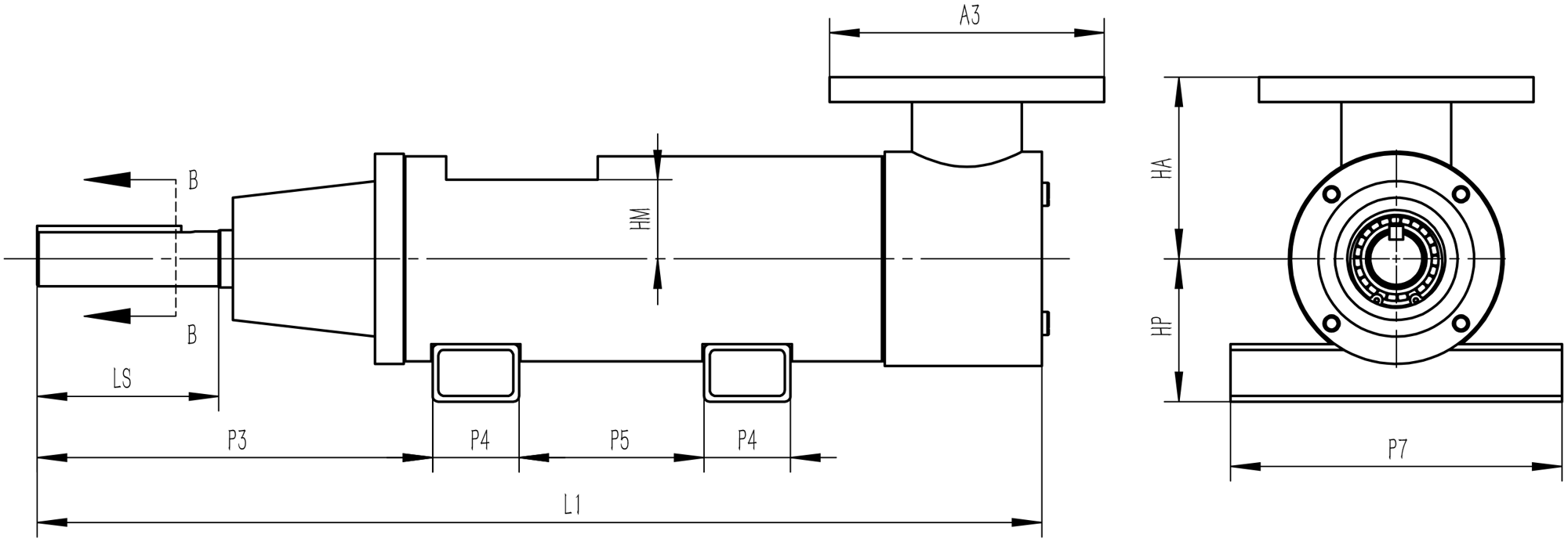 Dry Pump drawing